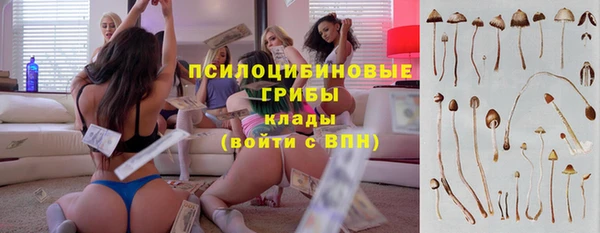 метадон Алексин